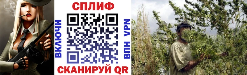Каннабис сатива  Коммунар 